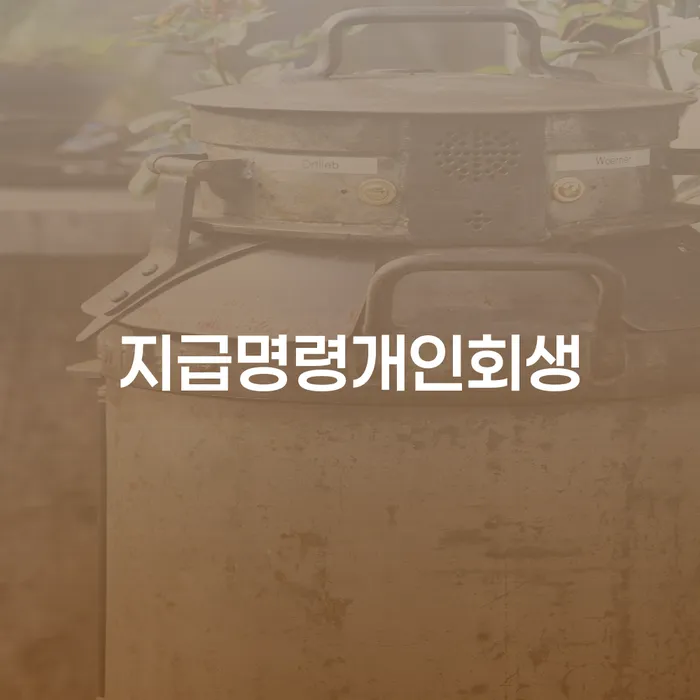회생채권 채무조정제도을 이용하여 신속한상담을