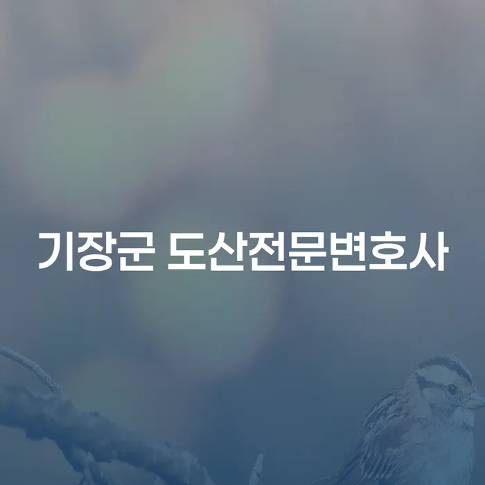 기장군 도산전문변호사와 함께하는 기업회생과 개인파산, 어떻게 시작해야 할까요?